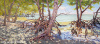 Ten Thousand Islands Mangroves 18" x 40"